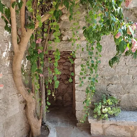 Seaside House Sutivan, Brac - 23655 Vakantiehuis Sutivan